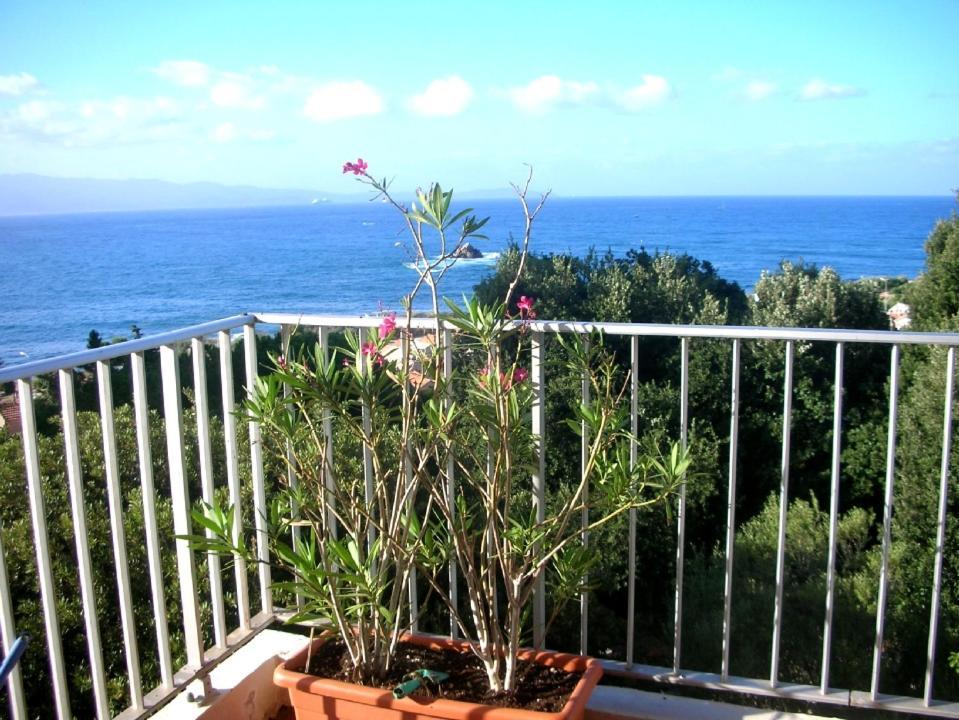 Appartement Climatise Vue Mer Route Des Sanguinaires Ajaccio (Corsica) Exterior foto